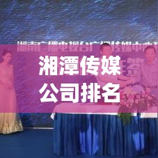 湘潭传媒公司排名大揭秘，探寻行业领军者的成功秘诀！