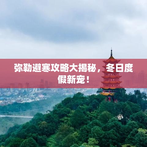 弥勒避寒攻略大揭秘，冬日度假新宠！