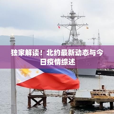 独家解读！北约最新动态与今日疫情综述