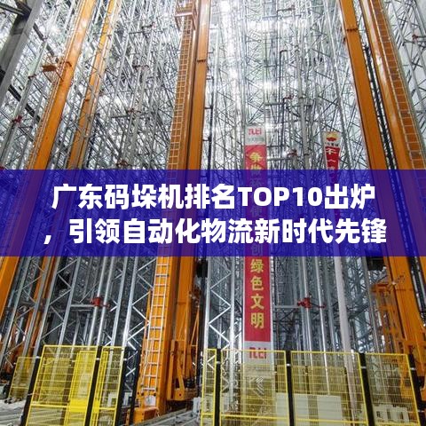 广东码垛机排名TOP10出炉，引领自动化物流新时代先锋榜单揭晓！