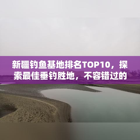 新疆钓鱼基地排名TOP10，探索最佳垂钓胜地，不容错过的垂钓胜地！