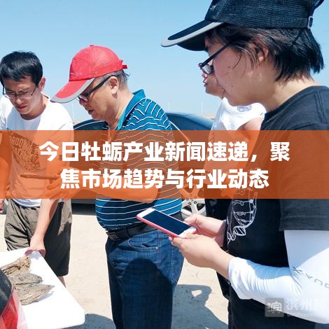 今日牡蛎产业新闻速递，聚焦市场趋势与行业动态
