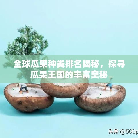 全球瓜果种类排名揭秘，探寻瓜果王国的丰富奥秘