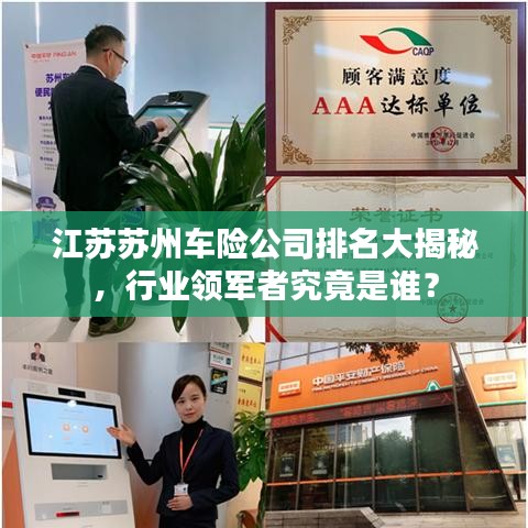 江苏苏州车险公司排名大揭秘，行业领军者究竟是谁？