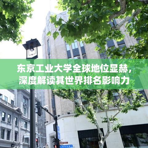 东京工业大学全球地位显赫，深度解读其世界排名影响力