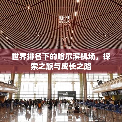 世界排名下的哈尔滨机场，探索之旅与成长之路