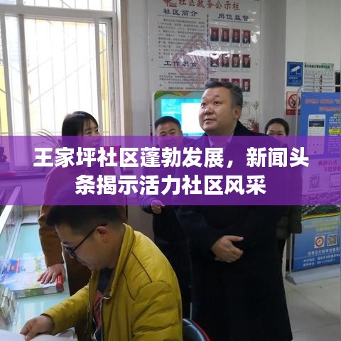 王家坪社区蓬勃发展，新闻头条揭示活力社区风采