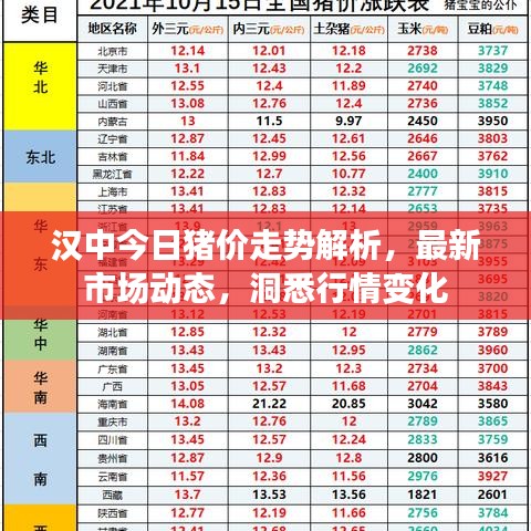 2025年6月15日