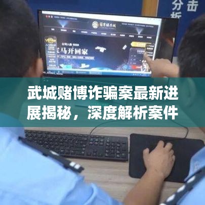 武城赌博诈骗案最新进展揭秘，深度解析案件细节