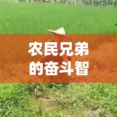 农民兄弟的奋斗智慧，励志语录大全，箴言启示人生之路
