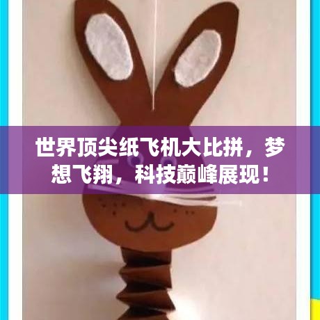 世界顶尖纸飞机大比拼，梦想飞翔，科技巅峰展现！