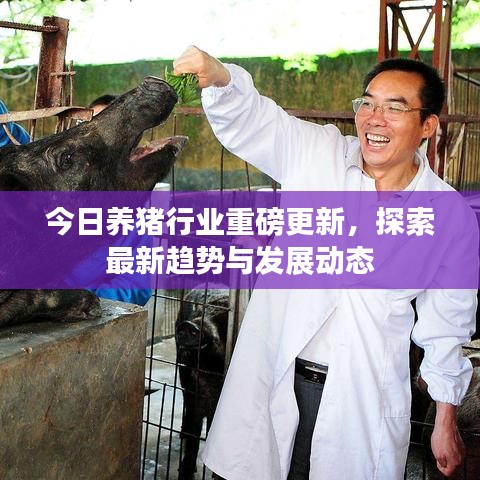 今日养猪行业重磅更新，探索最新趋势与发展动态