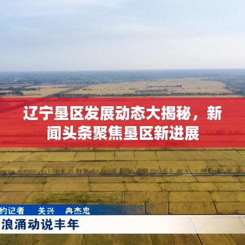 辽宁垦区发展动态大揭秘，新闻头条聚焦垦区新进展