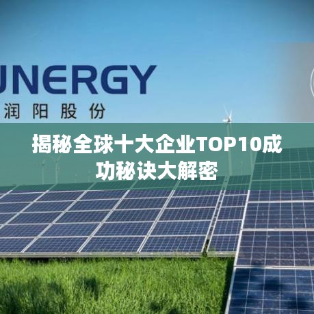揭秘全球十大企业TOP10成功秘诀大解密