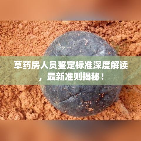 草药房人员鉴定标准深度解读，最新准则揭秘！