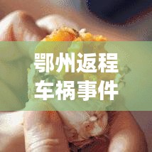 鄂州返程车祸事件最新进展，事故现场曝光，伤亡情况令人揪心