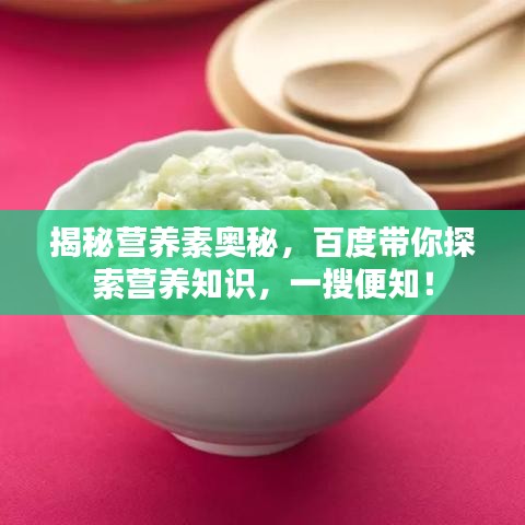 揭秘营养素奥秘，百度带你探索营养知识，一搜便知！