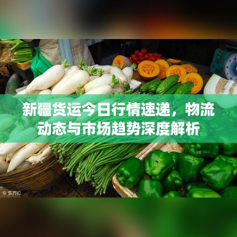 新疆货运今日行情速递，物流动态与市场趋势深度解析