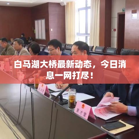 白马湖大桥最新动态，今日消息一网打尽！
