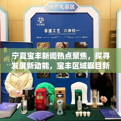 宁夏宝丰新闻热点聚焦，探寻发展新动能，宝丰区域瞩目新进展