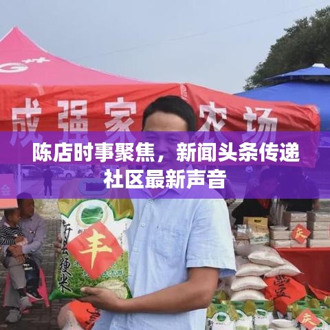 陈店时事聚焦，新闻头条传递社区最新声音