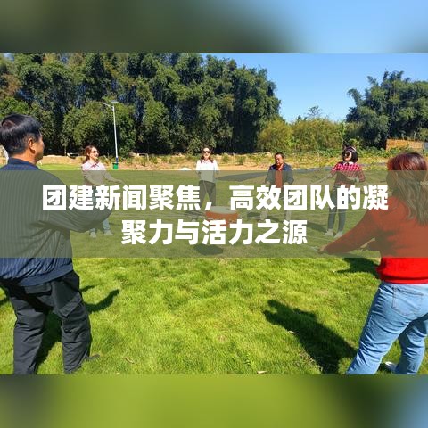 团建新闻聚焦，高效团队的凝聚力与活力之源