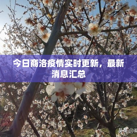 今日商洛疫情实时更新，最新消息汇总