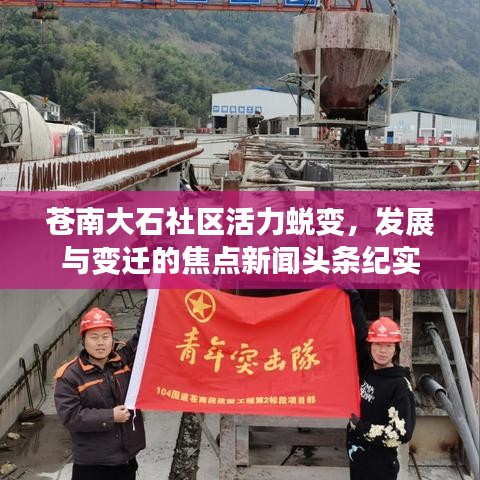 苍南大石社区活力蜕变，发展与变迁的焦点新闻头条纪实
