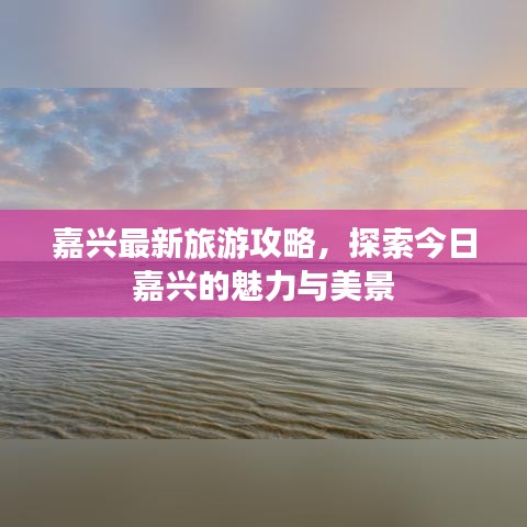 嘉兴最新旅游攻略，探索今日嘉兴的魅力与美景