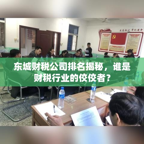 东城财税公司排名揭秘，谁是财税行业的佼佼者？
