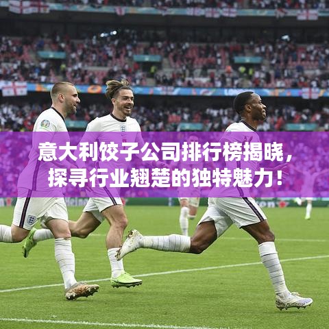 意大利饺子公司排行榜揭晓，探寻行业翘楚的独特魅力！