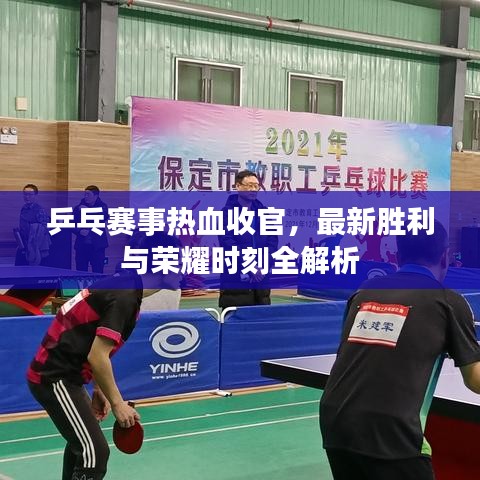 乒乓赛事热血收官，最新胜利与荣耀时刻全解析