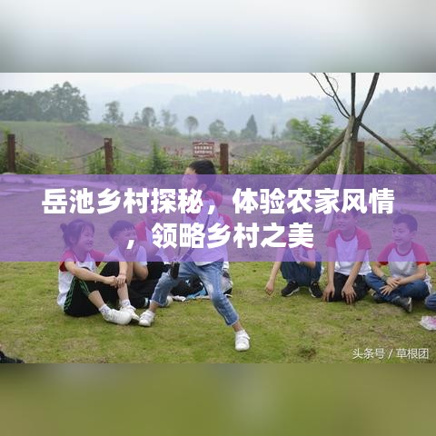 岳池乡村探秘，体验农家风情，领略乡村之美