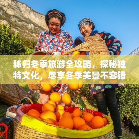 秭归冬季旅游全攻略，探秘独特文化，尽享冬季美景不容错过！