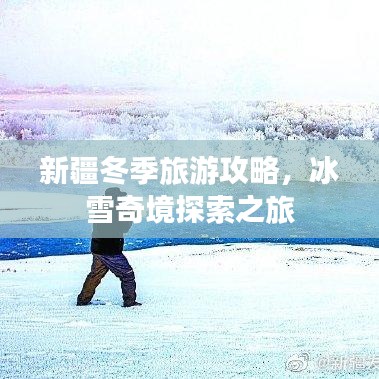 新疆冬季旅游攻略，冰雪奇境探索之旅