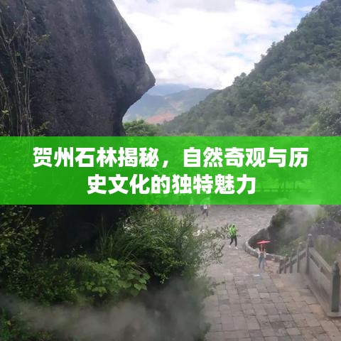 贺州石林揭秘，自然奇观与历史文化的独特魅力