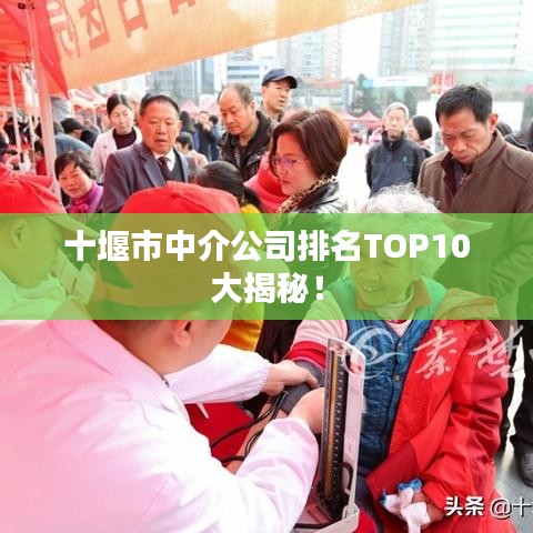 十堰市中介公司排名TOP10大揭秘！