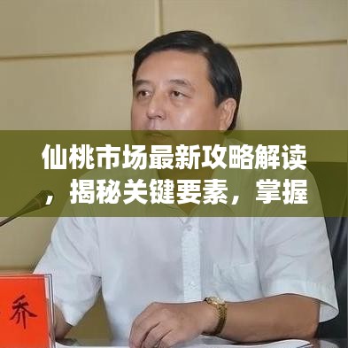 仙桃市场最新攻略解读，揭秘关键要素，掌握市场先机
