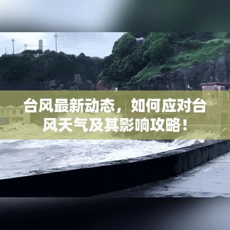 台风最新动态，如何应对台风天气及其影响攻略！