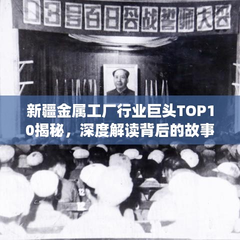 新疆金属工厂行业巨头TOP10揭秘，深度解读背后的故事