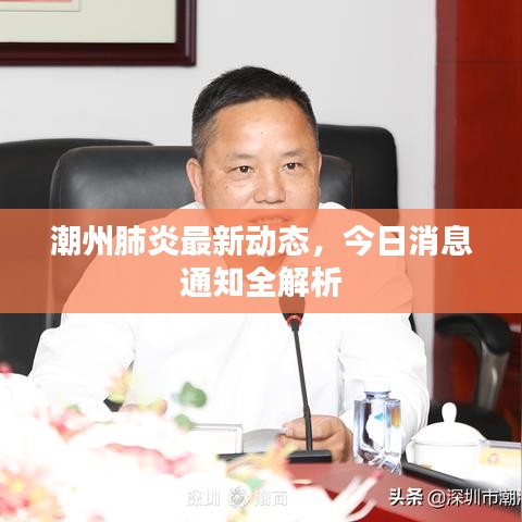 潮州肺炎最新动态，今日消息通知全解析
