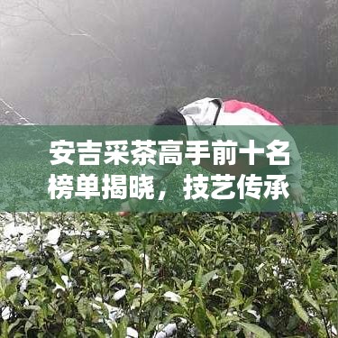 安吉采茶高手前十名榜单揭晓，技艺传承的璀璨篇章，谁将荣登榜首？