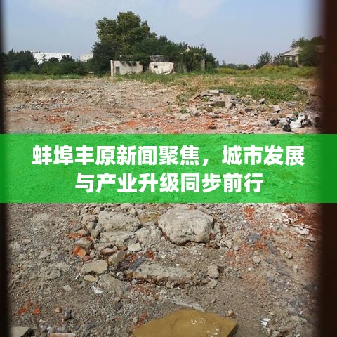 蚌埠丰原新闻聚焦，城市发展与产业升级同步前行