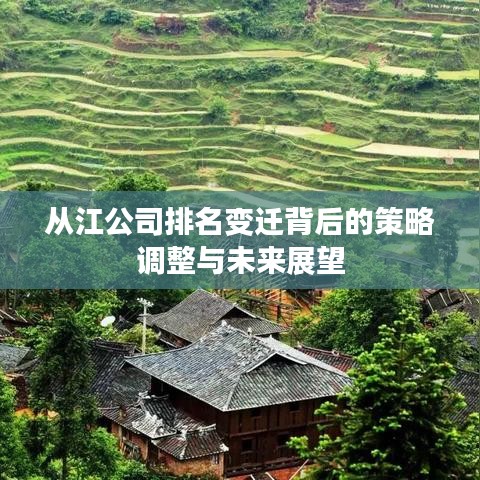 从江公司排名变迁背后的策略调整与未来展望
