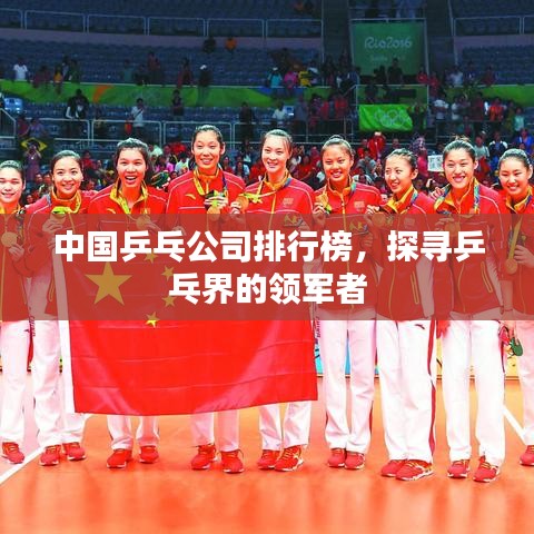 中国乒乓公司排行榜，探寻乒乓界的领军者