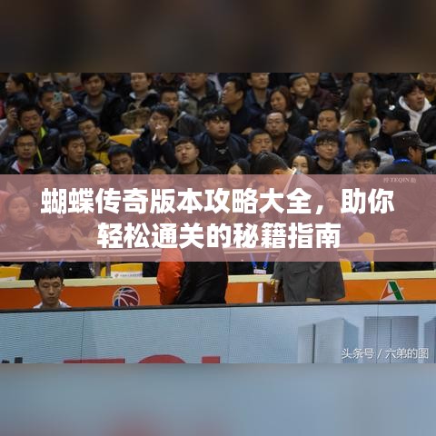 蝴蝶传奇版本攻略大全，助你轻松通关的秘籍指南