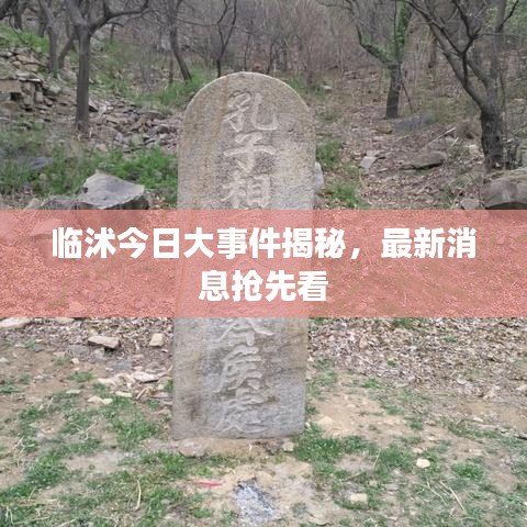 临沭今日大事件揭秘，最新消息抢先看