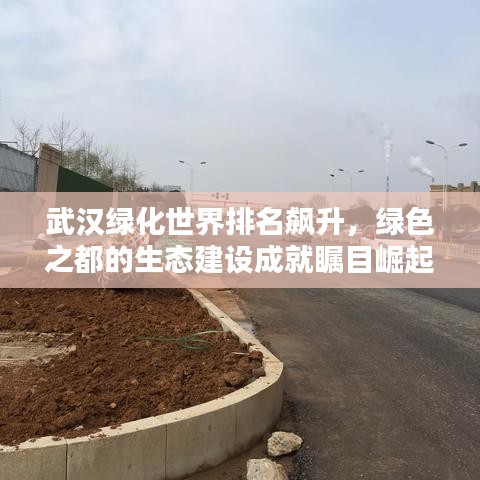 武汉绿化世界排名飙升，绿色之都的生态建设成就瞩目崛起