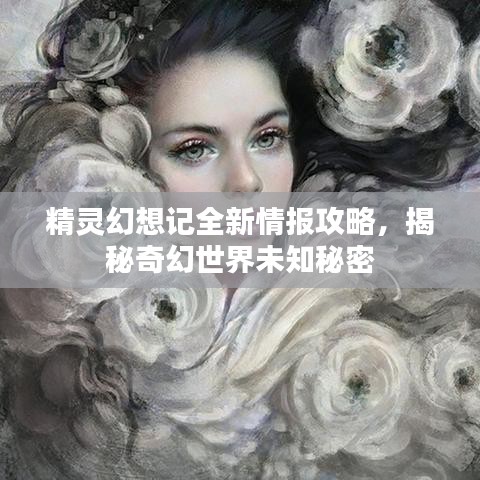 精灵幻想记全新情报攻略，揭秘奇幻世界未知秘密