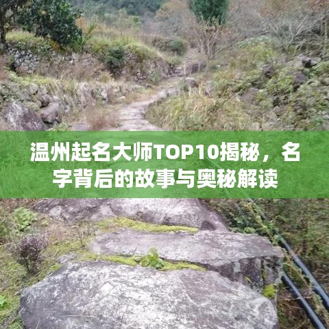 温州起名大师TOP10揭秘，名字背后的故事与奥秘解读